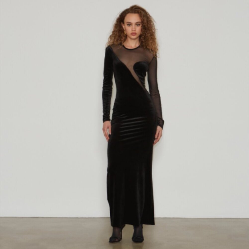 Brand New Delfi Collective Long-Sleeve Sheer Velvet Maxi Dress